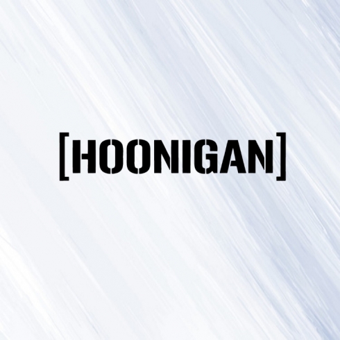 Hoonigan - vinylová samolepka na auto